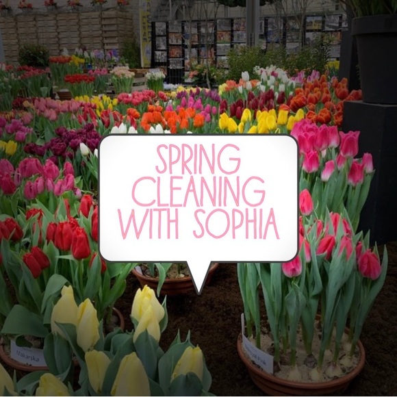 Spring BLOW OUT🌸 - Picture 1 of 1